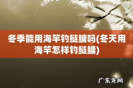 冬天用海竿怎样钓鲢鳙 冬季能用海竿钓鲢鳙吗