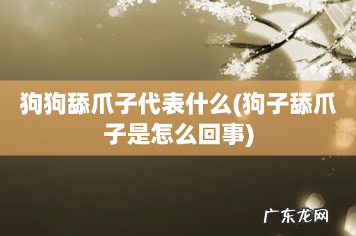 狗子舔爪子是怎么回事 狗狗舔爪子代表什么