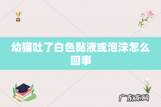 幼猫吐了白色黏液或泡沫怎么回事