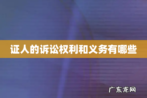 证人的诉讼权利和义务有哪些