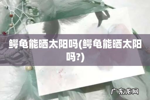 鳄龟能晒太阳吗? 鳄龟能晒太阳吗