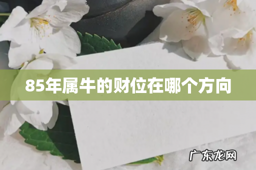 85年属牛的财位在哪个方向