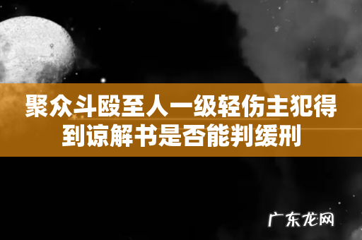 聚众斗殴至人一级轻伤主犯得到谅解书是否能判缓刑
