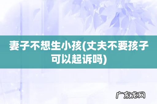 丈夫不要孩子可以起诉吗 妻子不想生小孩