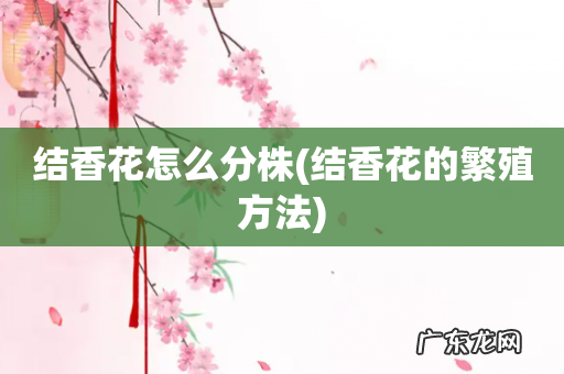 结香花的繁殖方法 结香花怎么分株