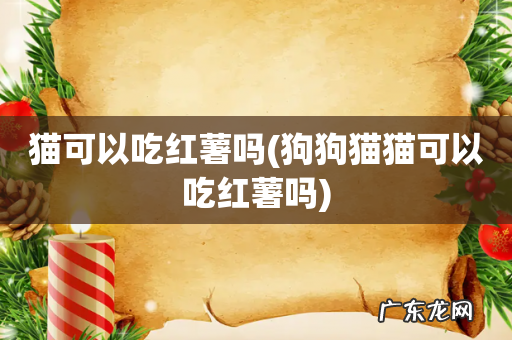 狗狗猫猫可以吃红薯吗 猫可以吃红薯吗
