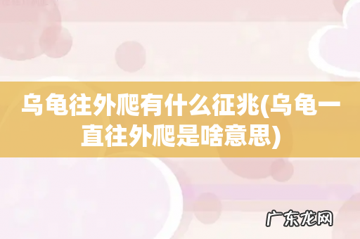 乌龟一直往外爬是啥意思 乌龟往外爬有什么征兆
