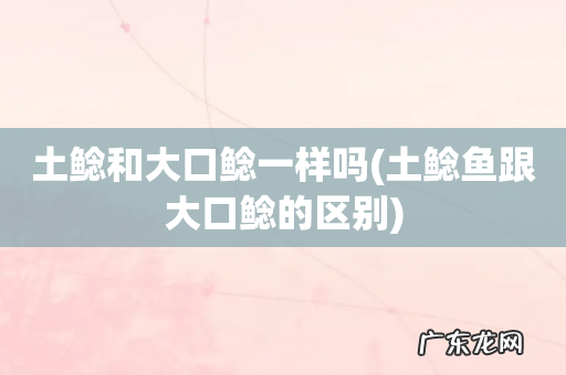 土鲶鱼跟大口鲶的区别 土鲶和大口鲶一样吗