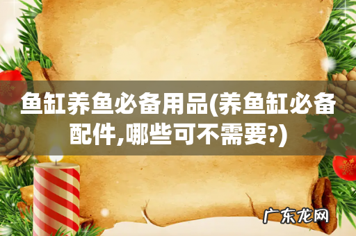 养鱼缸必备配件,哪些可不需要? 鱼缸养鱼必备用品