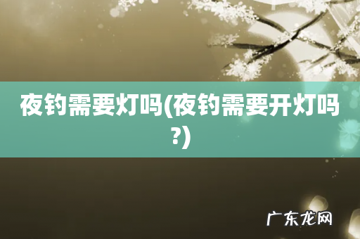 夜钓需要开灯吗? 夜钓需要灯吗