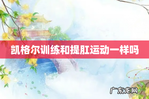 凯格尔训练和提肛运动一样吗