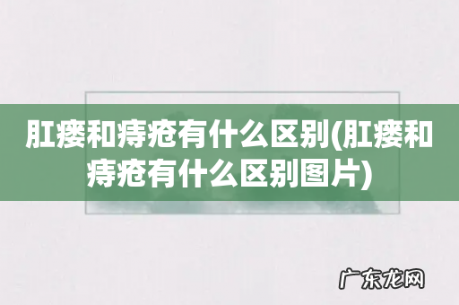 肛瘘和痔疮有什么区别图片 肛瘘和痔疮有什么区别