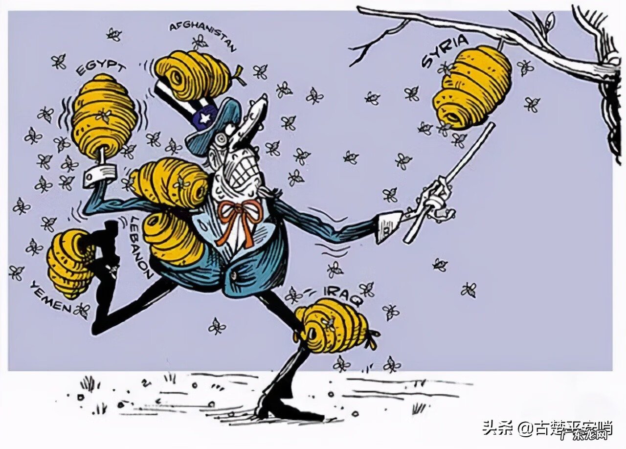 被蜜蜂蛰了怎么消肿止痒 被采蜜的蜜蜂蛰了怎么消肿