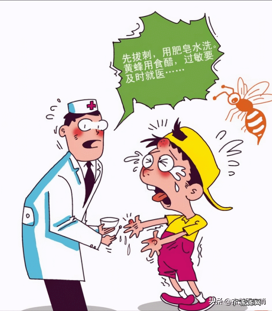 被蜜蜂蛰了怎么消肿止痒 被采蜜的蜜蜂蛰了怎么消肿