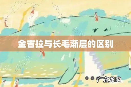 金吉拉与长毛渐层的区别
