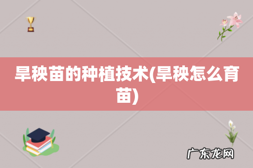 旱秧怎么育苗 旱秧苗的种植技术