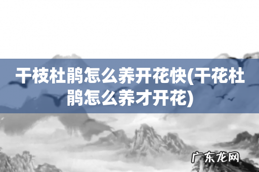 干花杜鹃怎么养才开花 干枝杜鹃怎么养开花快