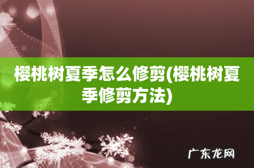 樱桃树夏季修剪方法 樱桃树夏季怎么修剪