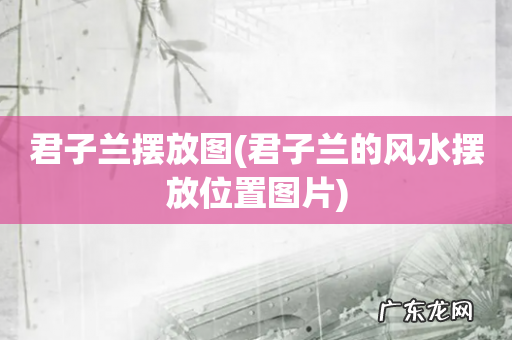 君子兰的风水摆放位置图片 君子兰摆放图