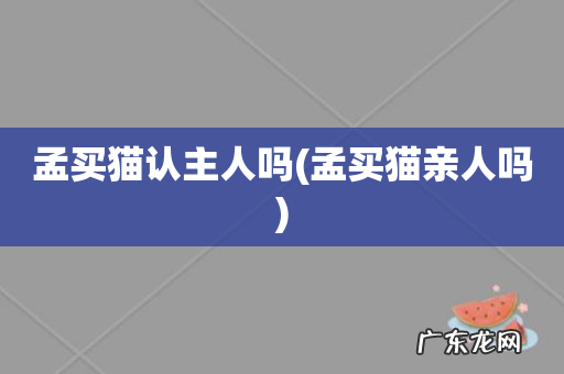 孟买猫亲人吗 孟买猫认主人吗
