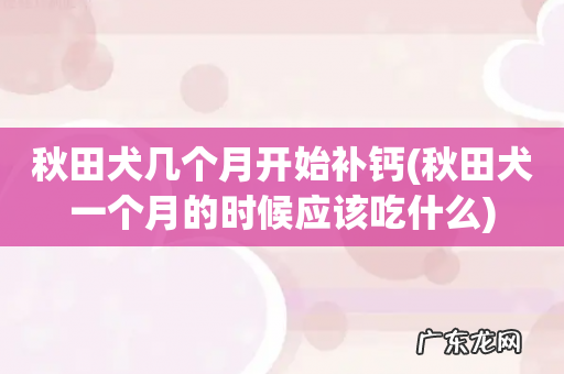 秋田犬一个月的时候应该吃什么 秋田犬几个月开始补钙