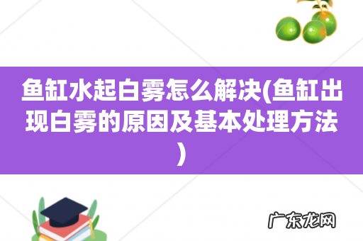鱼缸出现白雾的原因及基本处理方法 鱼缸水起白雾怎么解决