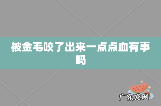 被金毛咬了出来一点点血有事吗