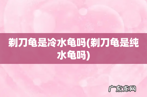 剃刀龟是纯水龟吗 剃刀龟是冷水龟吗