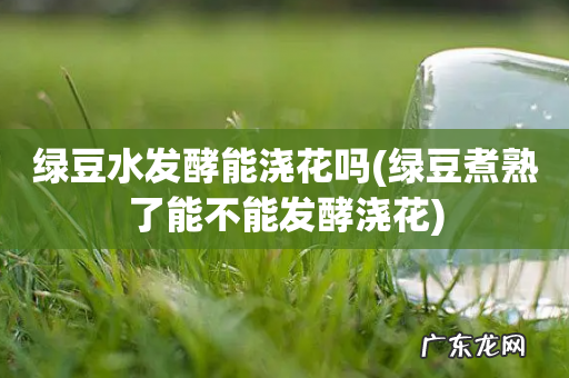 绿豆煮熟了能不能发酵浇花 绿豆水发酵能浇花吗