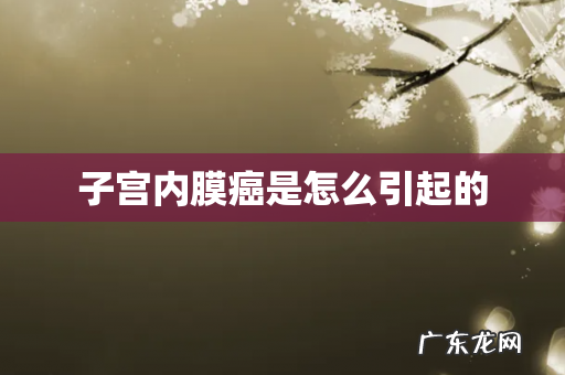 子宫内膜癌是怎么引起的