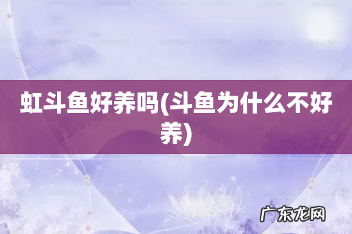 斗鱼为什么不好养 虹斗鱼好养吗
