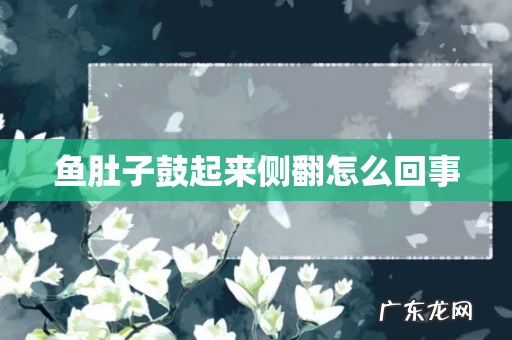 鱼肚子鼓起来侧翻怎么回事