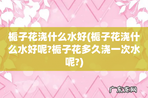 栀子花浇什么水好呢?栀子花多久浇一次水呢? 栀子花浇什么水好