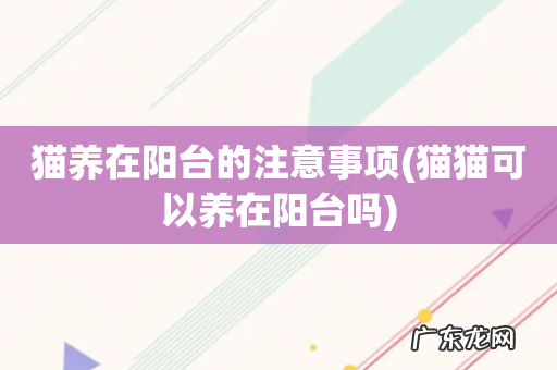 猫猫可以养在阳台吗 猫养在阳台的注意事项