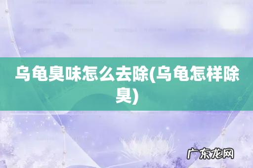 乌龟怎样除臭 乌龟臭味怎么去除