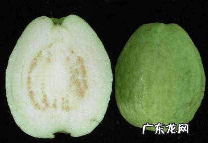 番石榴的功效与作用吃法 番石榴的功效与作用禁忌