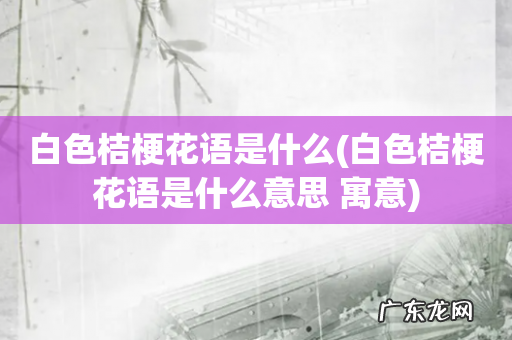 白色桔梗花语是什么意思 寓意 白色桔梗花语是什么