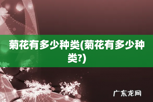菊花有多少种类? 菊花有多少种类