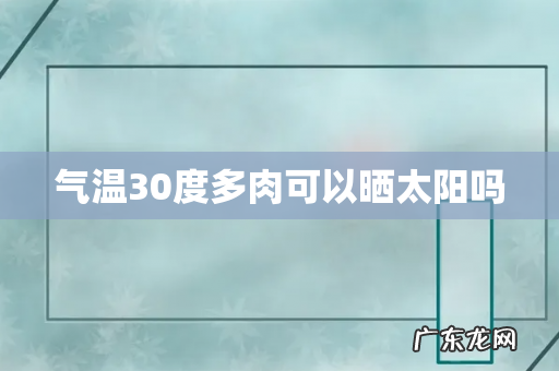 气温30度多肉可以晒太阳吗