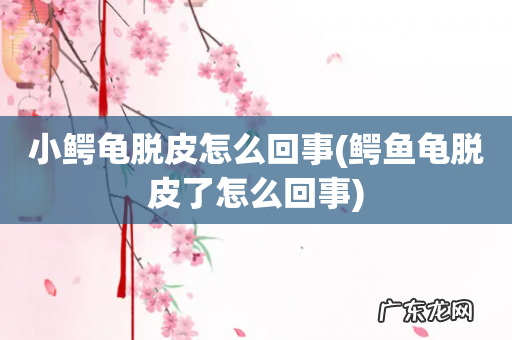 鳄鱼龟脱皮了怎么回事 小鳄龟脱皮怎么回事