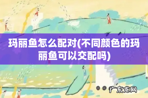 不同颜色的玛丽鱼可以交配吗 玛丽鱼怎么配对