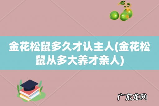 金花松鼠从多大养才亲人 金花松鼠多久才认主人