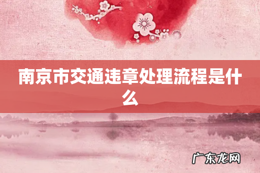 南京市交通违章处理流程是什么