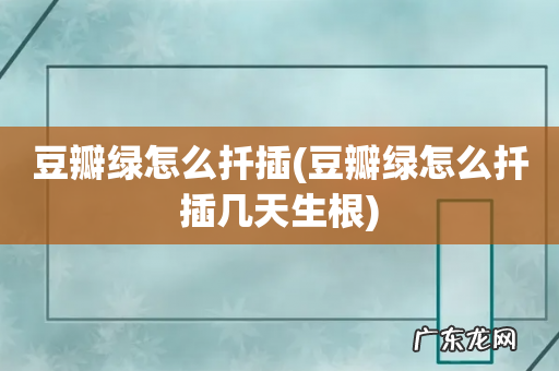 豆瓣绿怎么扦插几天生根 豆瓣绿怎么扦插