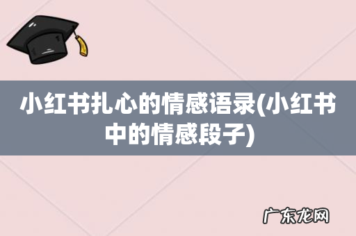 小红书中的情感段子 小红书扎心的情感语录