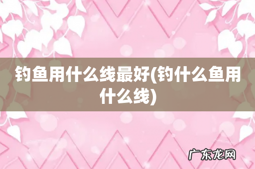 钓什么鱼用什么线 钓鱼用什么线最好