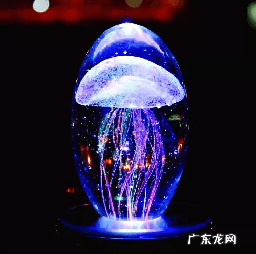 水母粉的原材料是什么 水母是什么东西