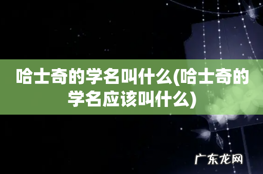哈士奇的学名应该叫什么 哈士奇的学名叫什么
