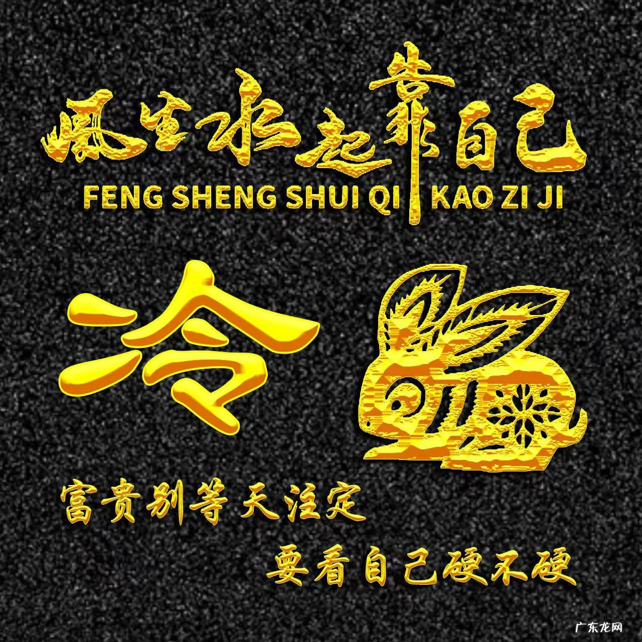 属兔的人用什么头像 属兔人风水最好的头像