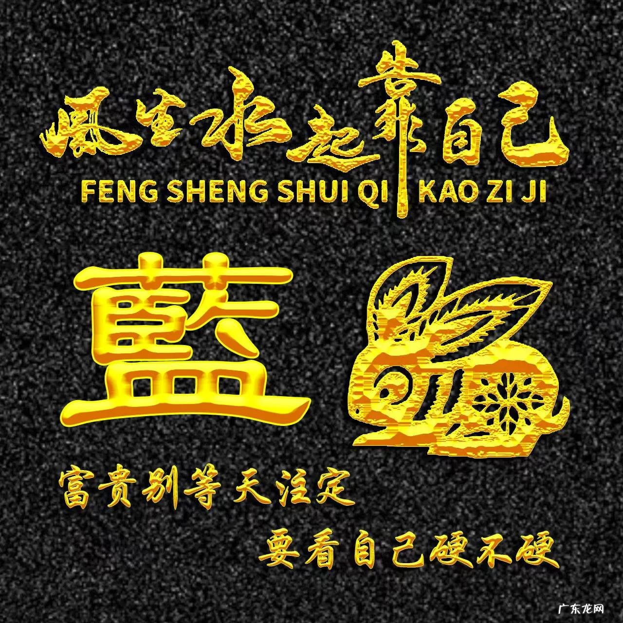 属兔的人用什么头像 属兔人风水最好的头像